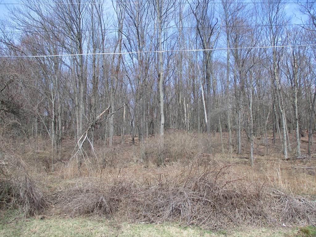 https://bt-photos.global.ssl.fastly.net/rochester/orig_boomver_1_R1674190-2.jpg
