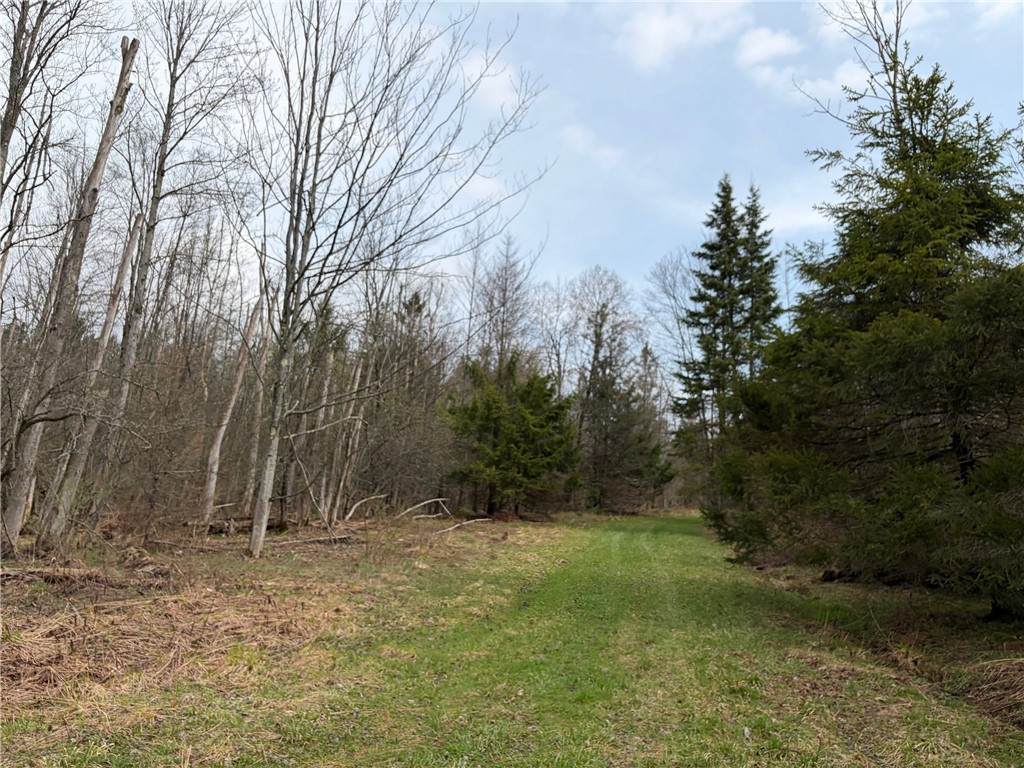  West Hill Road - Photo 1