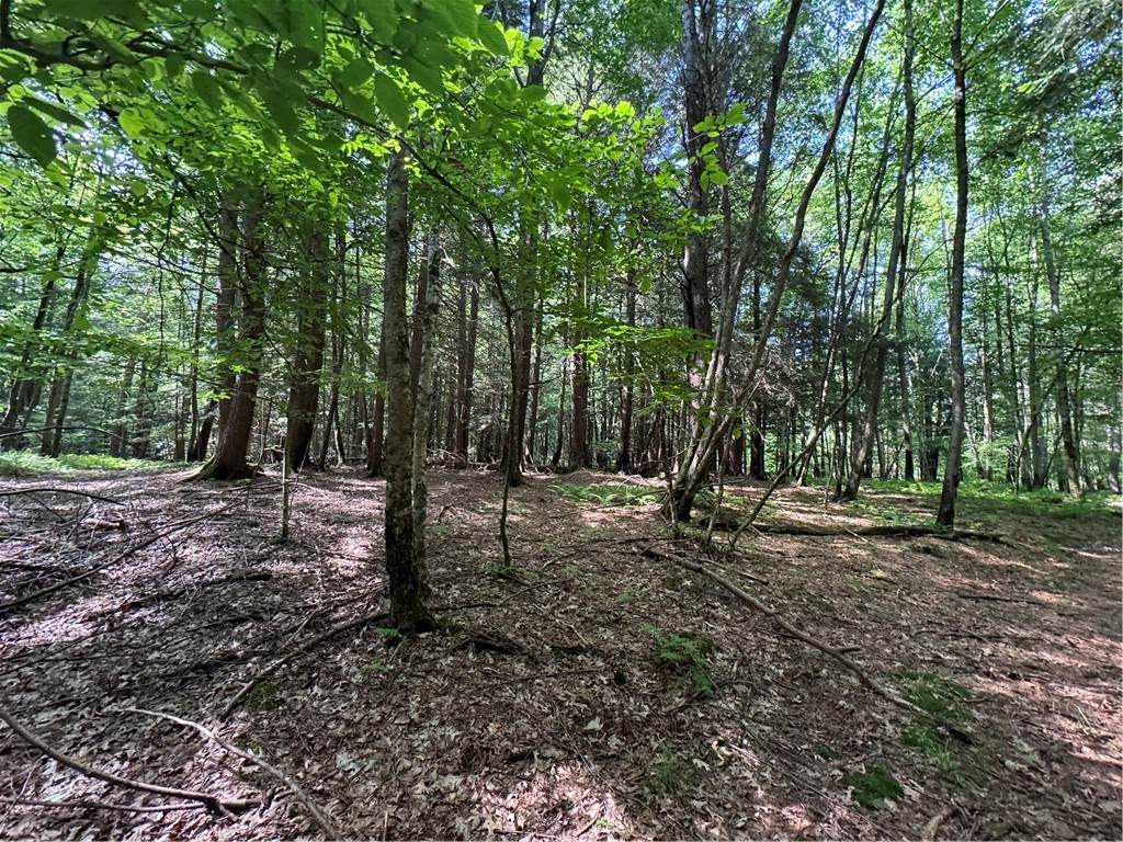 5757 State Highway 7 - Photo 1