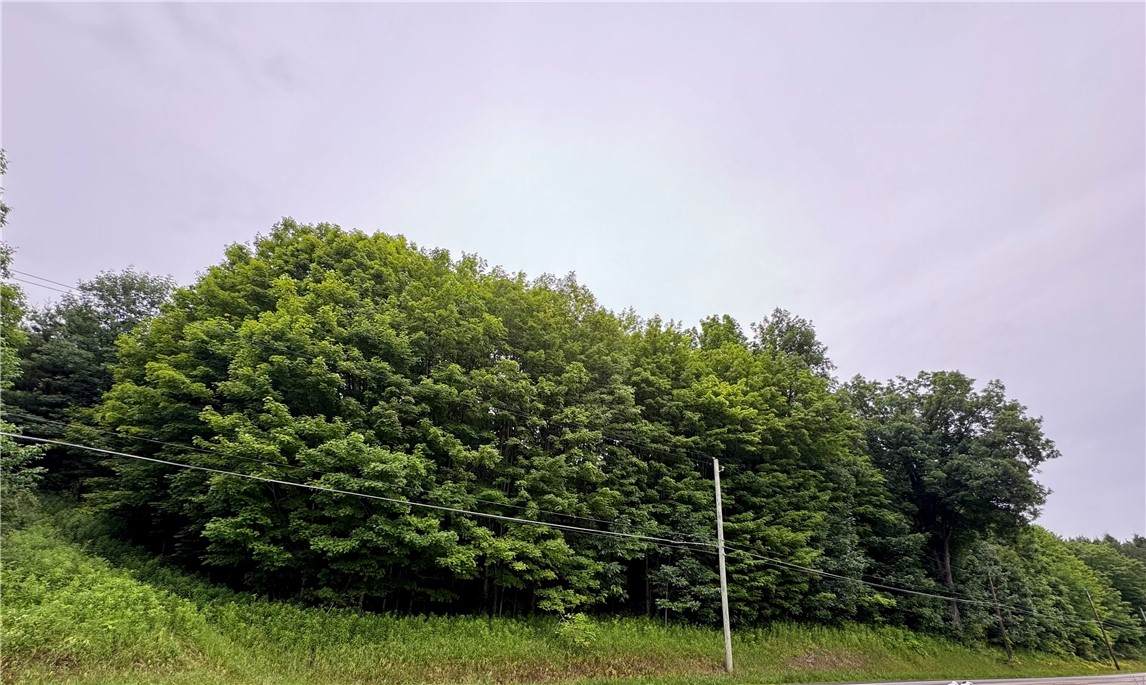 https://bt-photos.global.ssl.fastly.net/rochester/orig_boomver_1_R1675249-2.jpg