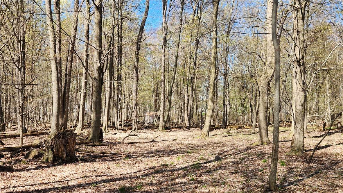  Straub Road - Photo 1
