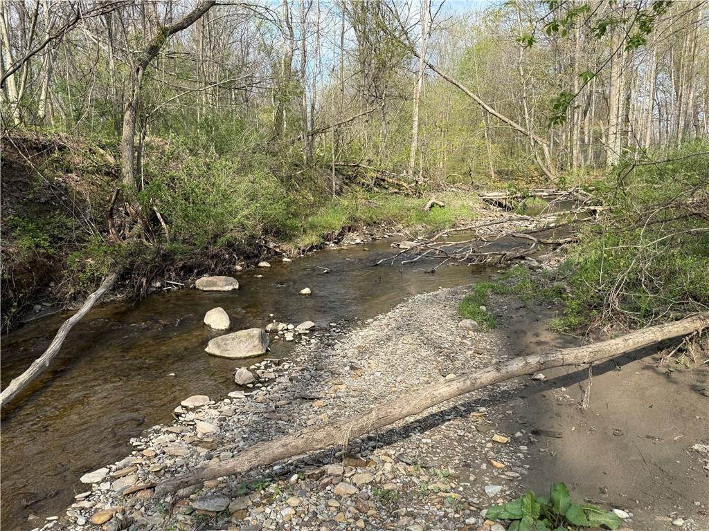 14245 Collin Ctr Zoar Road - Photo 1