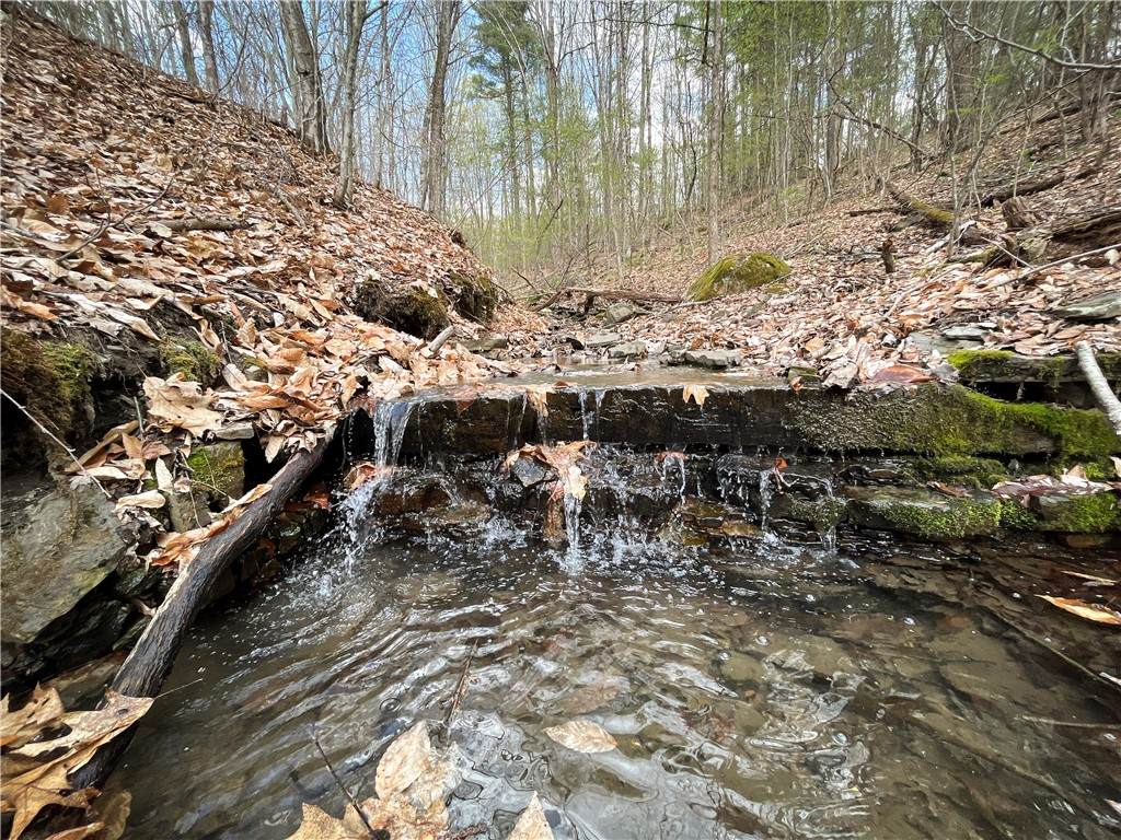 West Creek Road - Photo 1