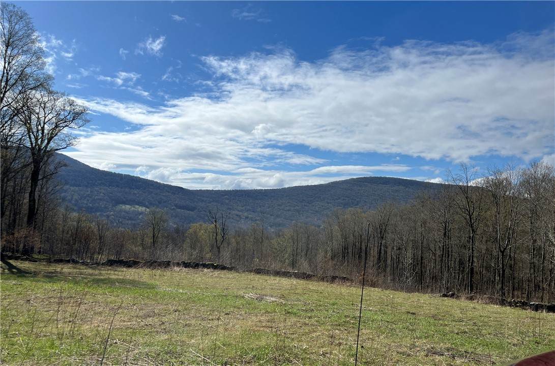  Vega Mountain Road - Photo 1