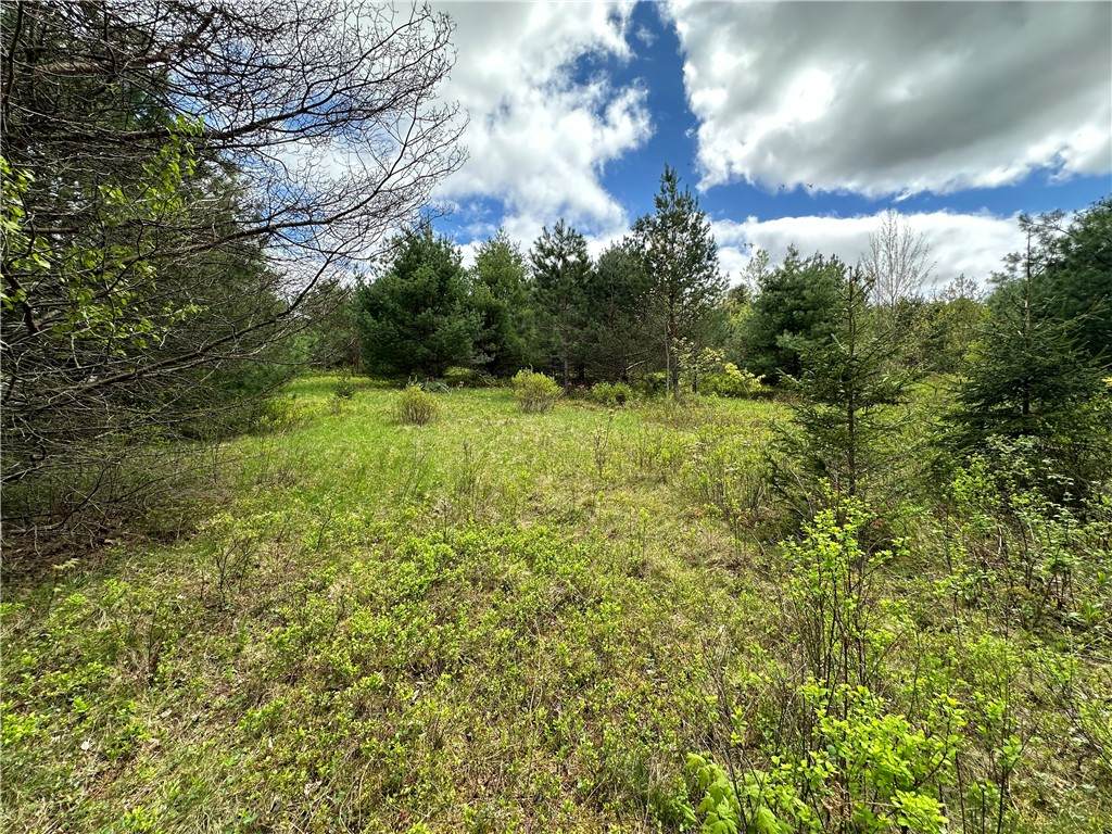 0 Pine Tree Road - Photo 1
