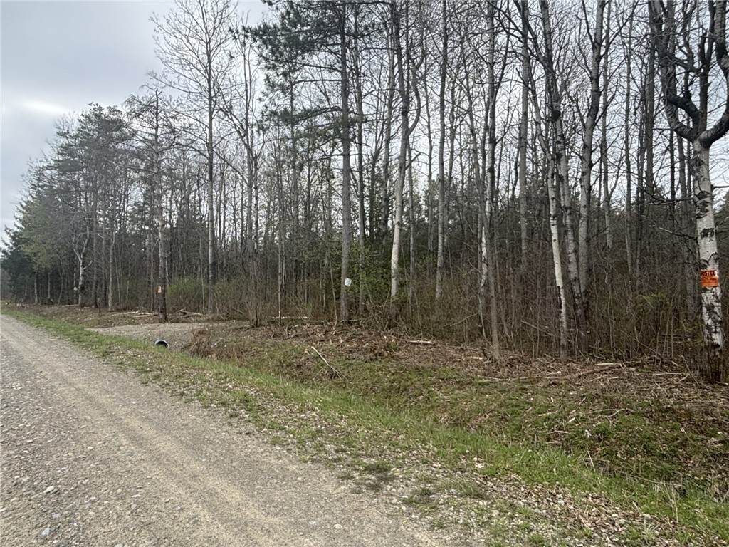 VL Wagner Road - Photo 1