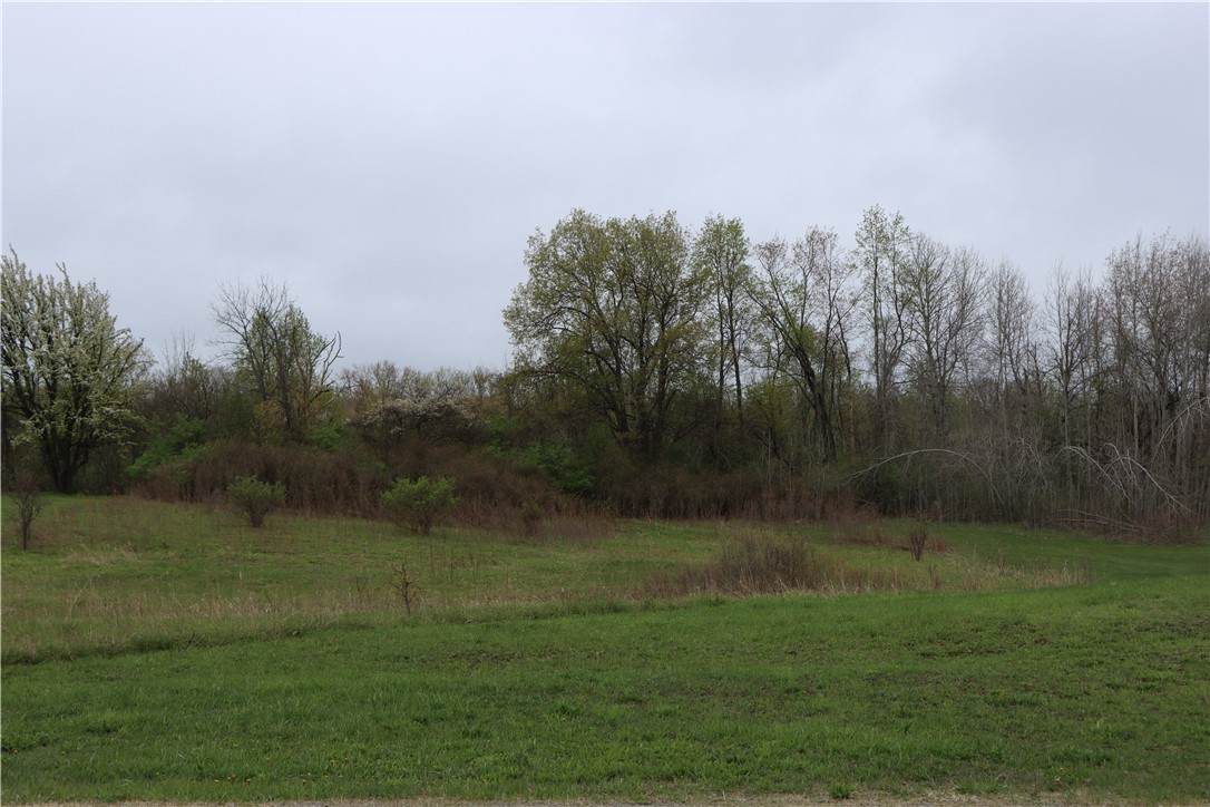 0 VL Rose Road - Photo 1
