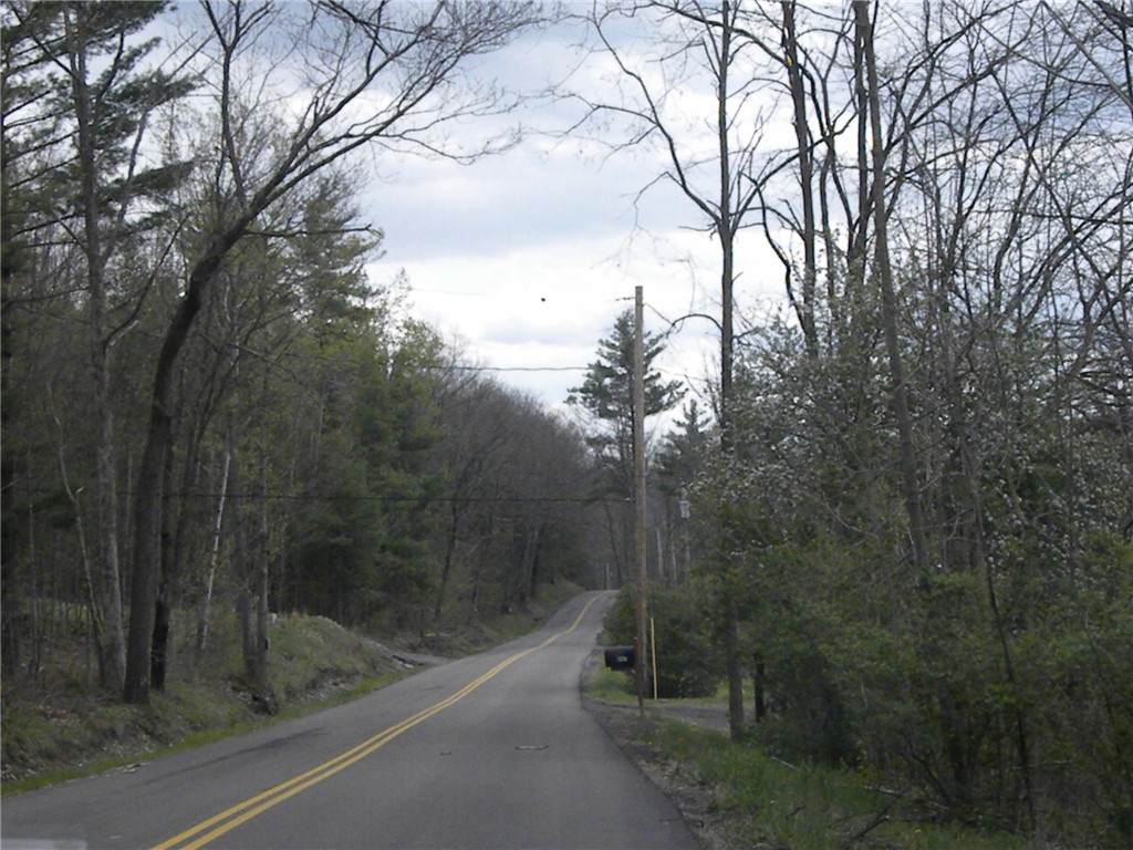 Lot 15 Hibbard Road - Photo 1