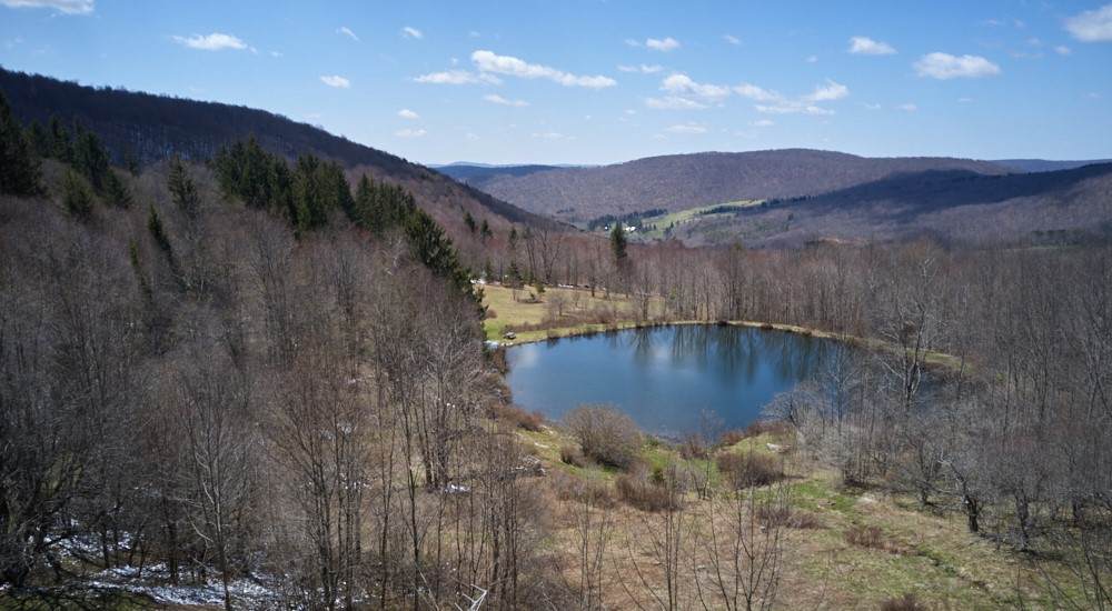 1855 Davis Hollow Road - Photo 1