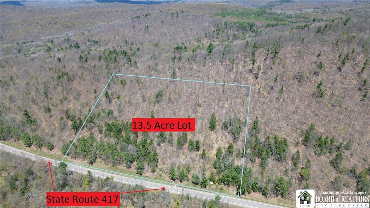0 St. Rt. 417 - Photo 1