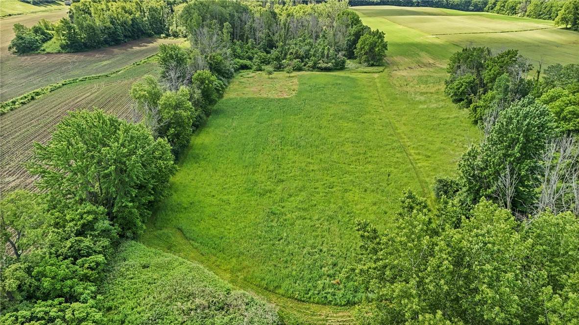 4880 Skinner Road - Photo 1