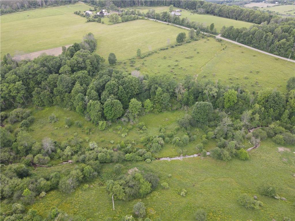 LOT 12 Beebe Hill Road - Photo 1