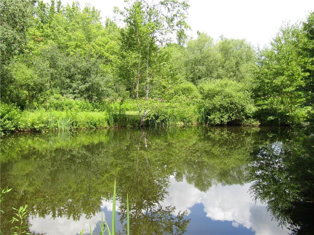 https://bt-photos.global.ssl.fastly.net/rochester/orig_boomver_1_R1703581-2.jpg