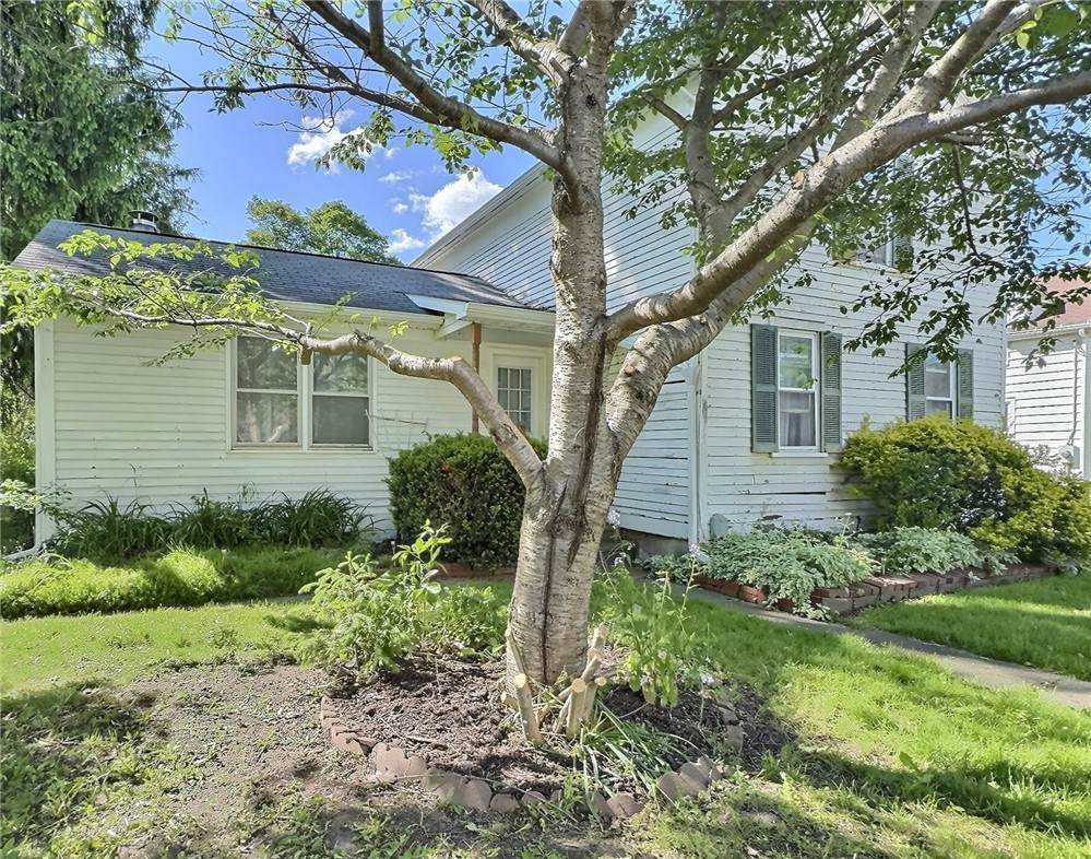 7515 Main Street - Photo 1