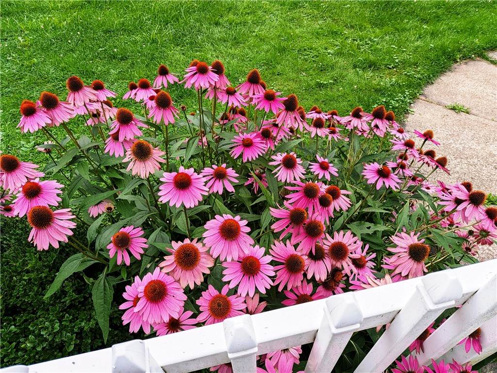 https://bt-photos.global.ssl.fastly.net/rochester/orig_boomver_1_R1707063-2.jpg