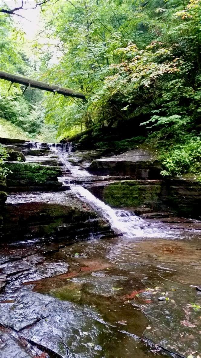 https://bt-photos.global.ssl.fastly.net/rochester/orig_boomver_1_R1708209-2.jpg