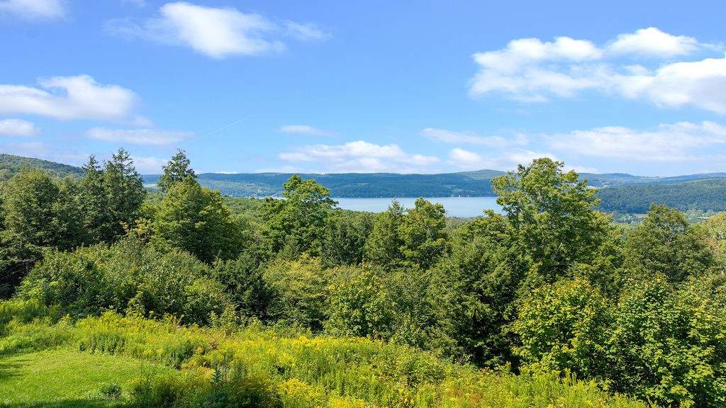 https://bt-photos.global.ssl.fastly.net/rochester/orig_boomver_1_R1709579-2.jpg