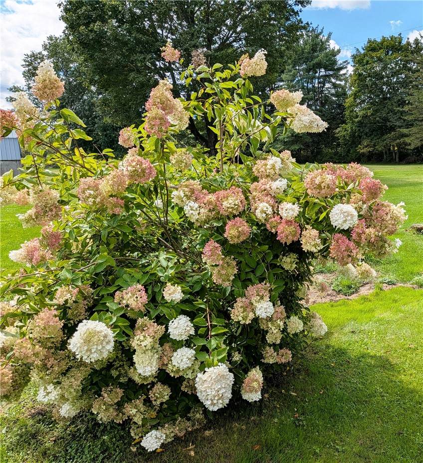 https://bt-photos.global.ssl.fastly.net/rochester/orig_boomver_1_R1712702-2.jpg
