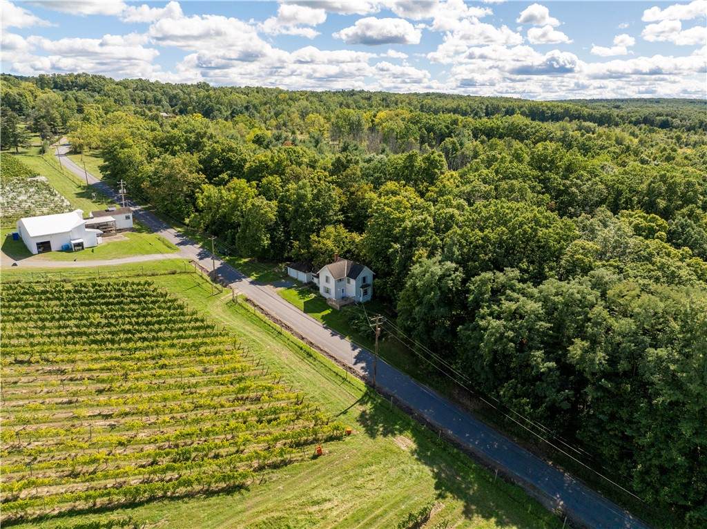 10121 Hyatt Hill Road - Photo 1