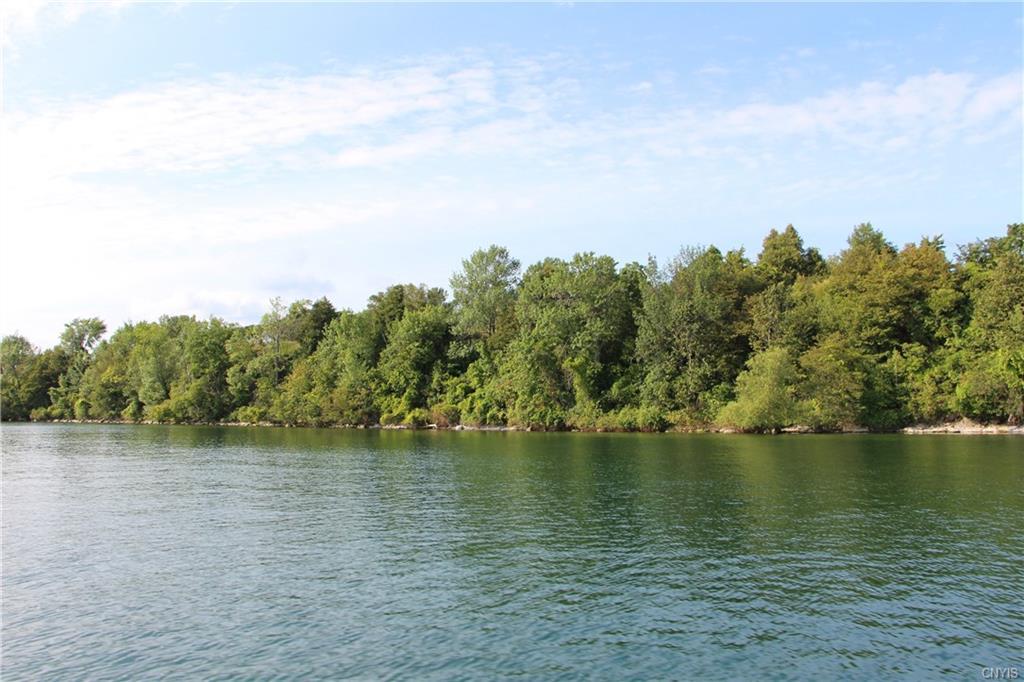 2 E Carleton Island Road 1 - Photo 1