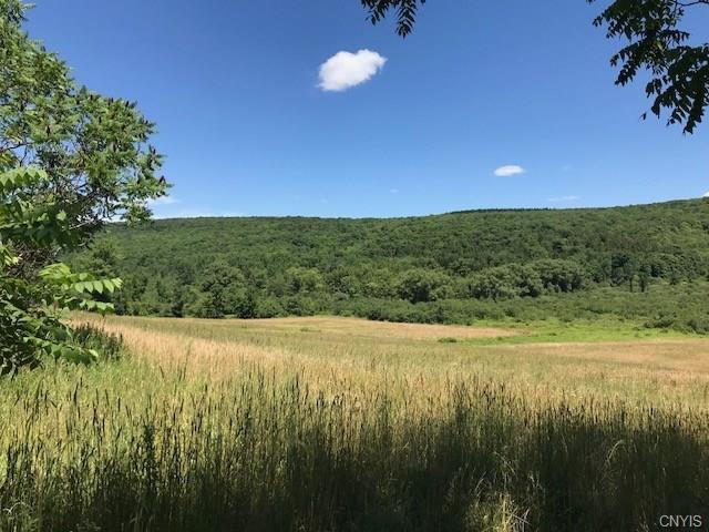 7367 Cold Brook Road - Photo 1