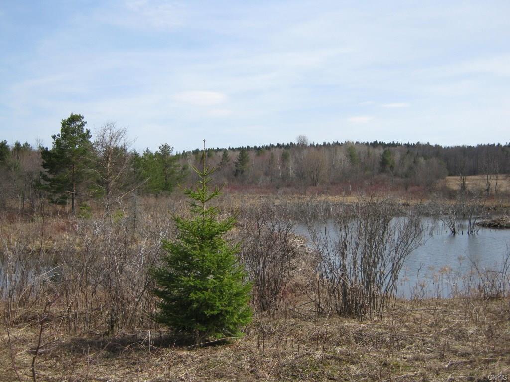 00 Cloverleaf Road - Photo 1
