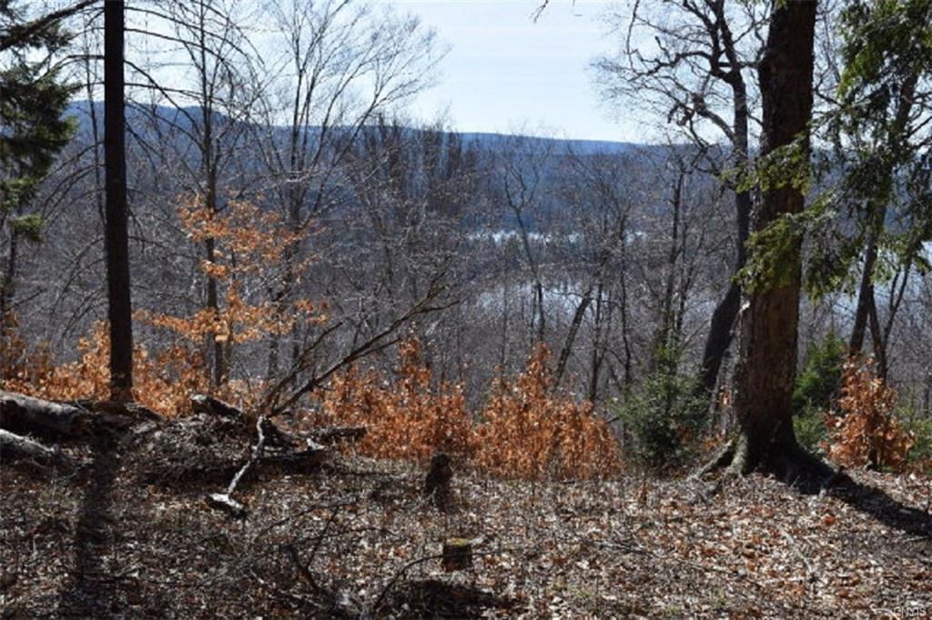 130 Palisades Road - Photo 1