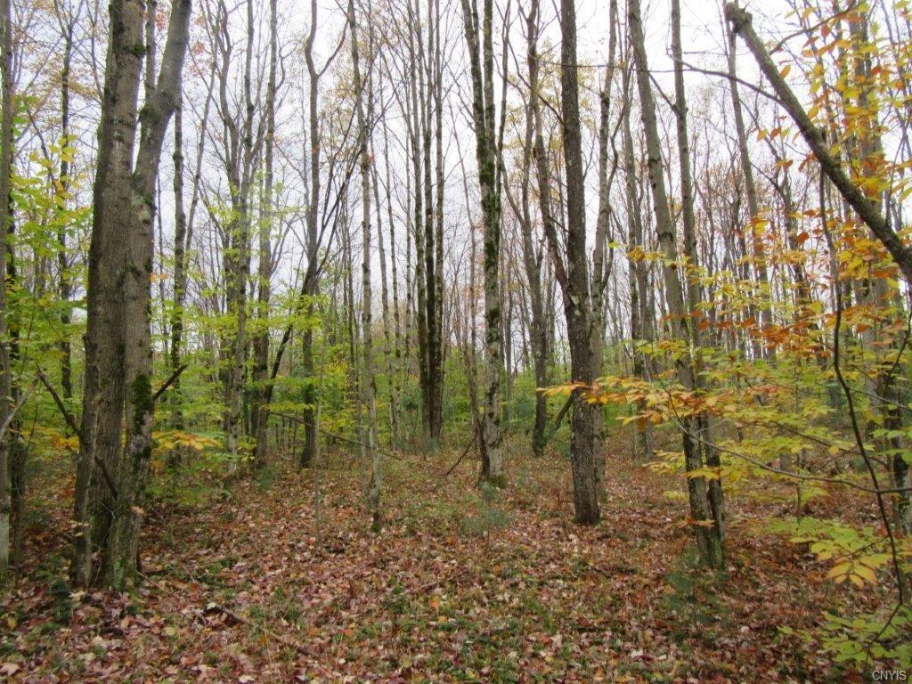 426-97 County Route 19 - Photo 1