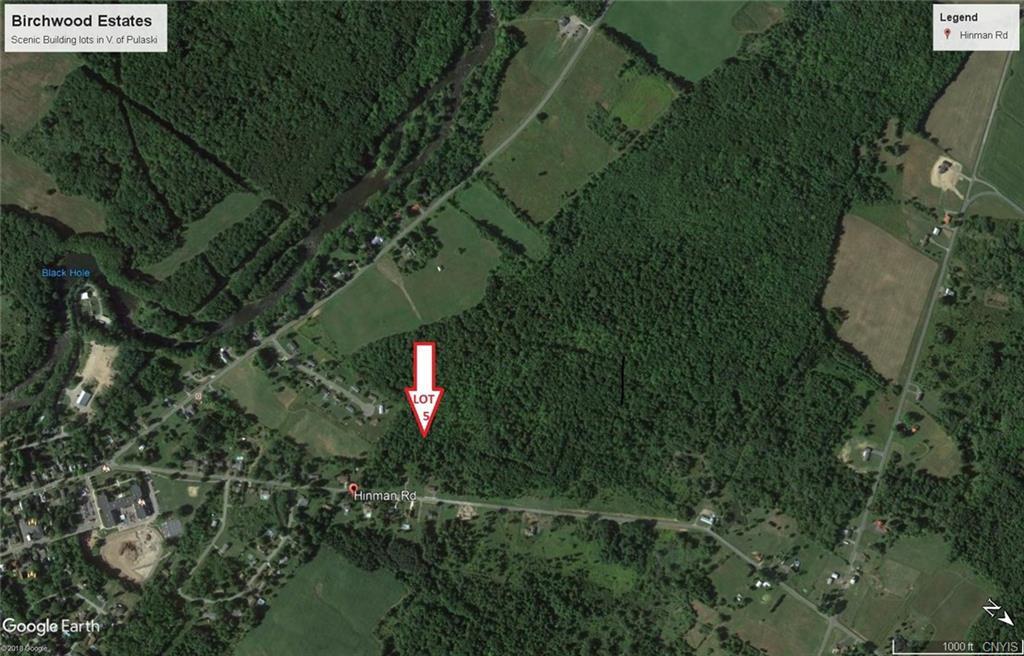 Lot 5 Hinman Road - Photo 1