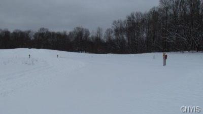 00 Hidden Meadow Road - Photo 1