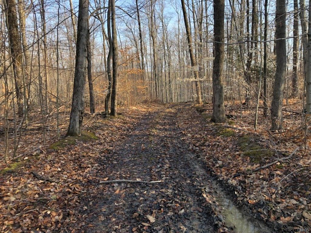 00 Tibbetts Hill Road - Photo 1