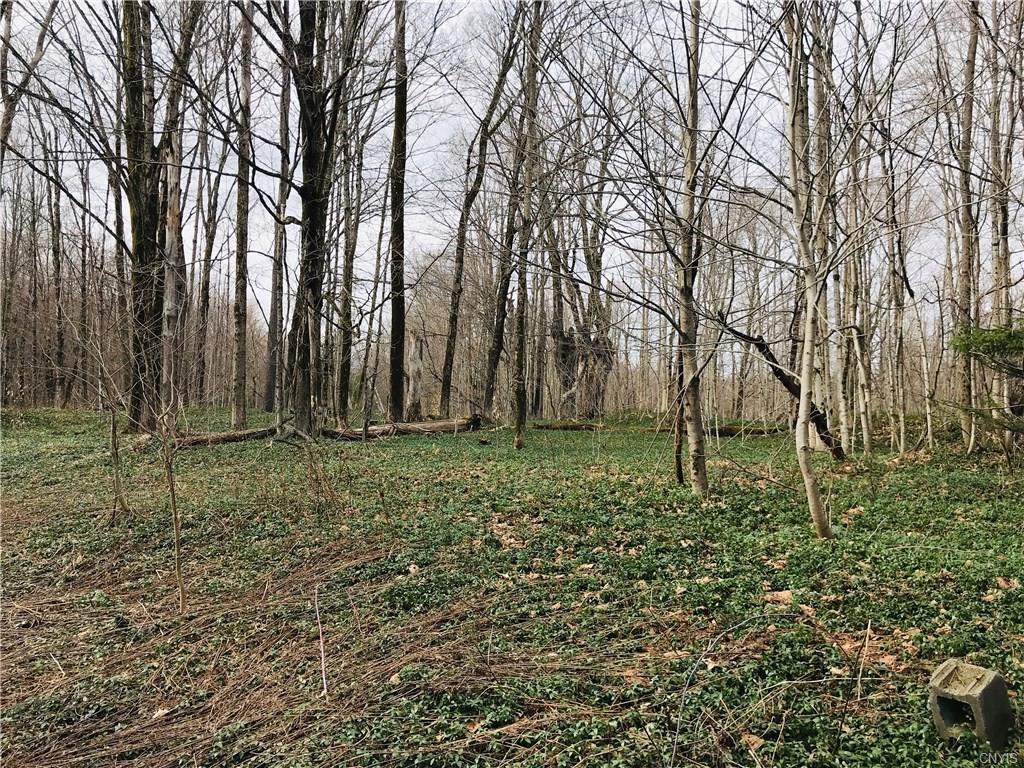 0 Creek Road - Photo 1