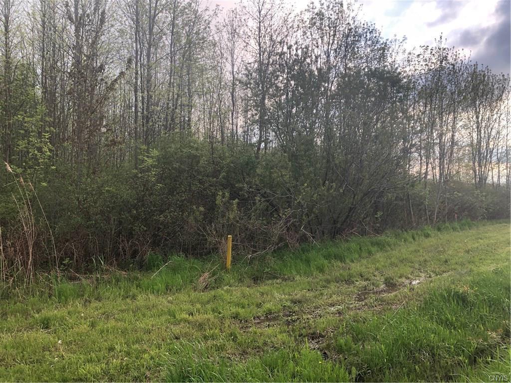Lot 8 Route 31 - Photo 1 Lot 8 Route 31 - Photo 1