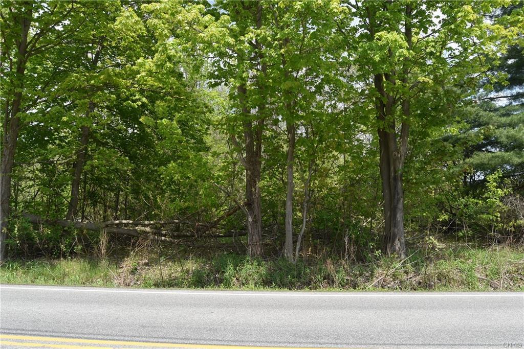 0 Fyler Road - Photo 1
