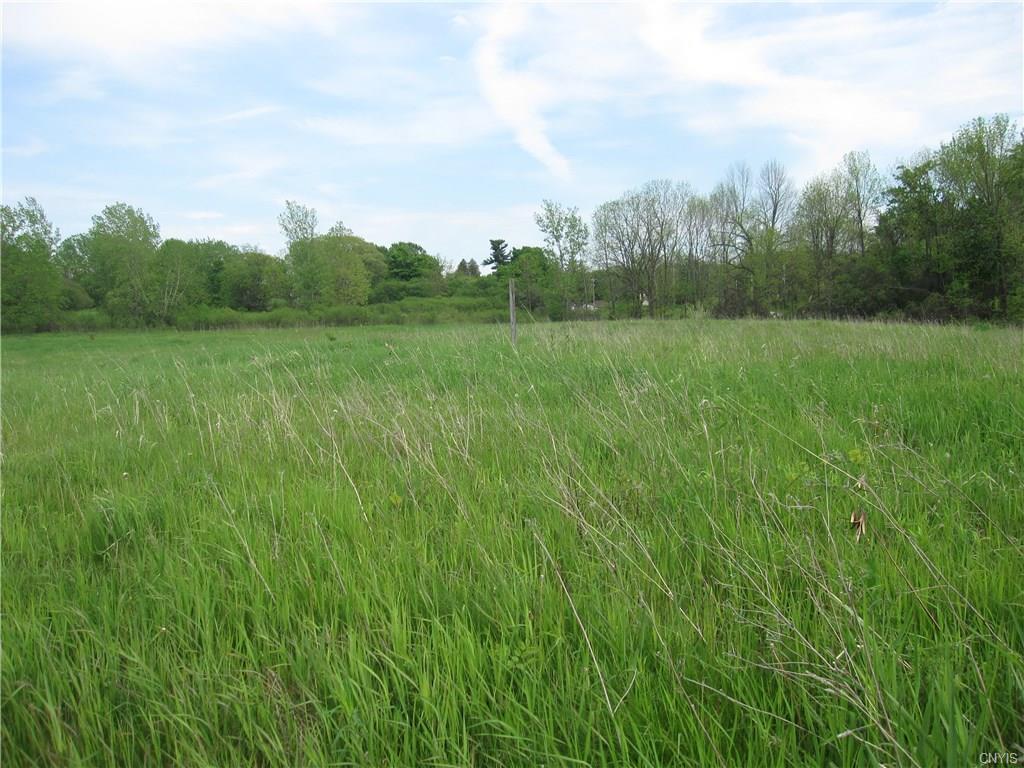 Lot 21 Calemad Drive - Photo 1