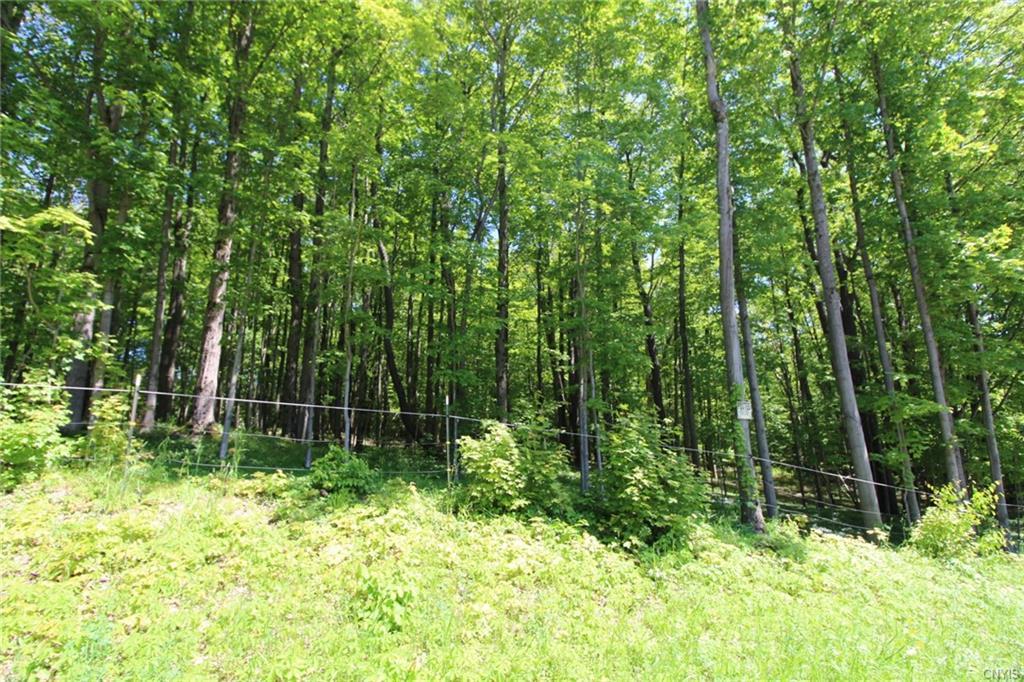 188 Pinnacle Road - Photo 1