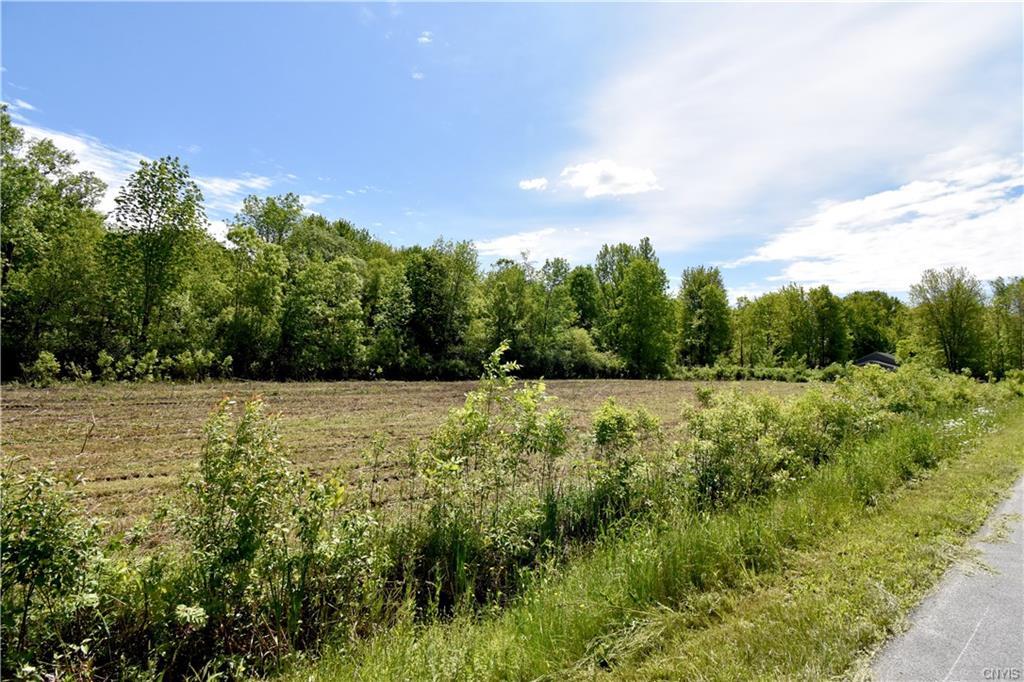 Lot 4 Snell Road - Photo 1