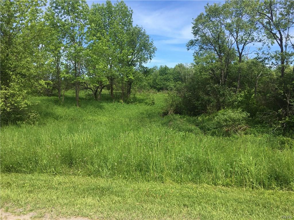 00 Deminuk Road - Photo 1