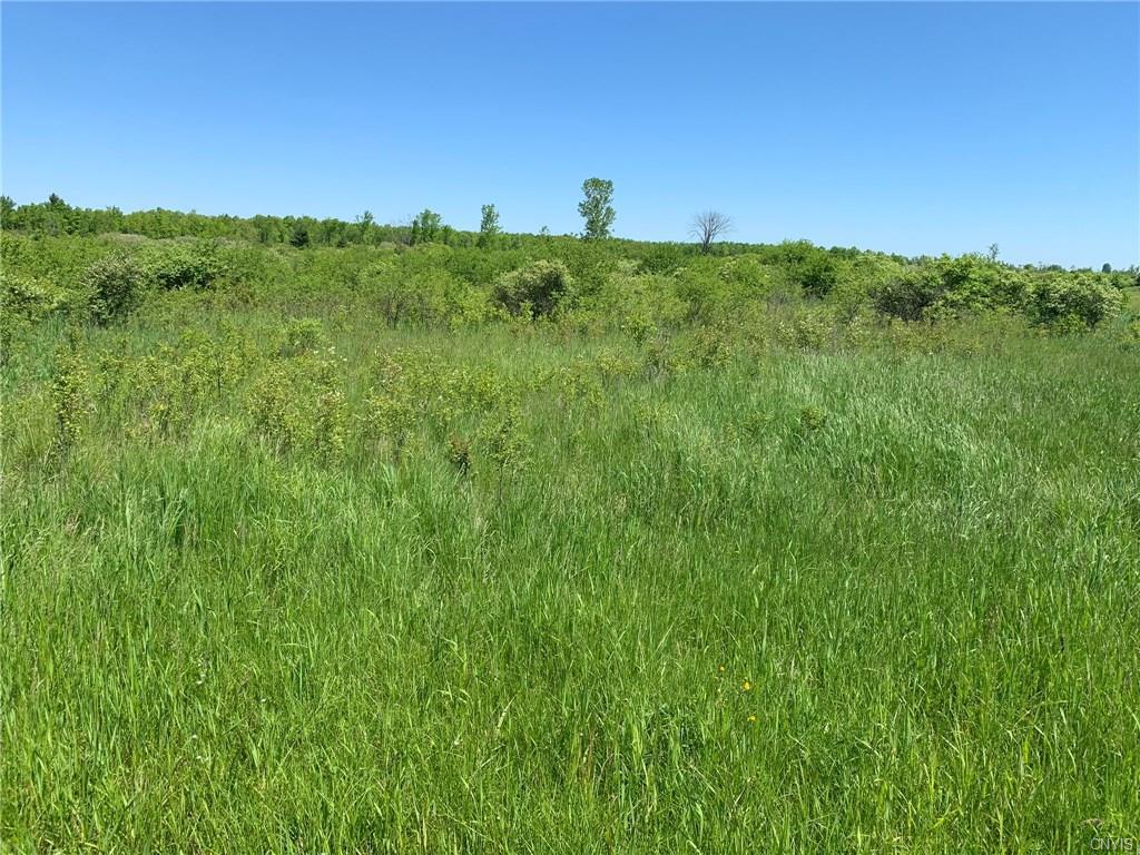 Lot # 8 Hart Road - Photo 1