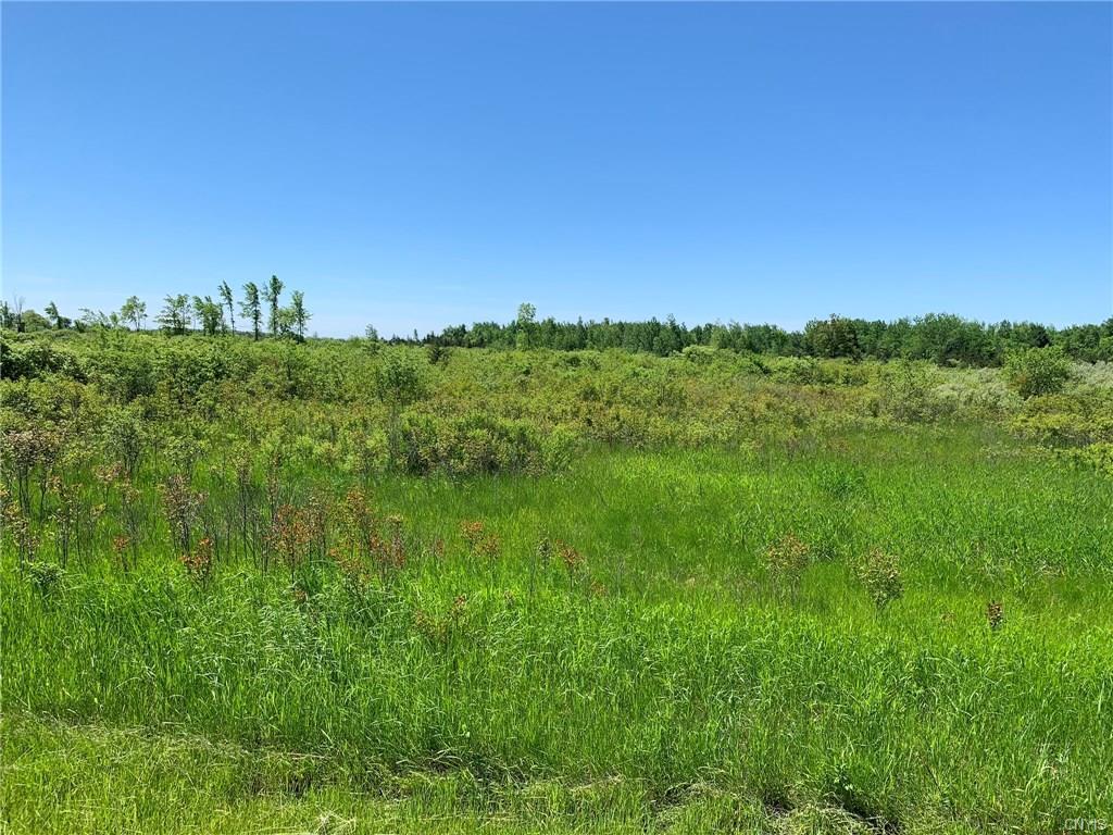 Lot # 12 Hart Road - Photo 1