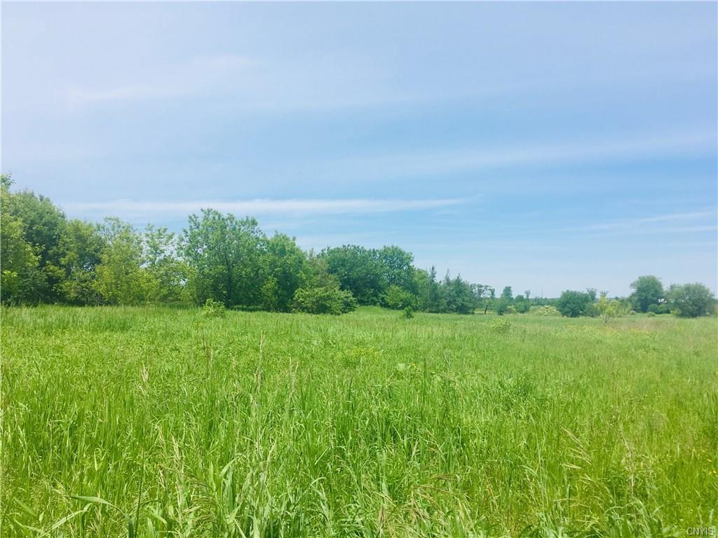33743 Elm Ridge Road - Photo 1