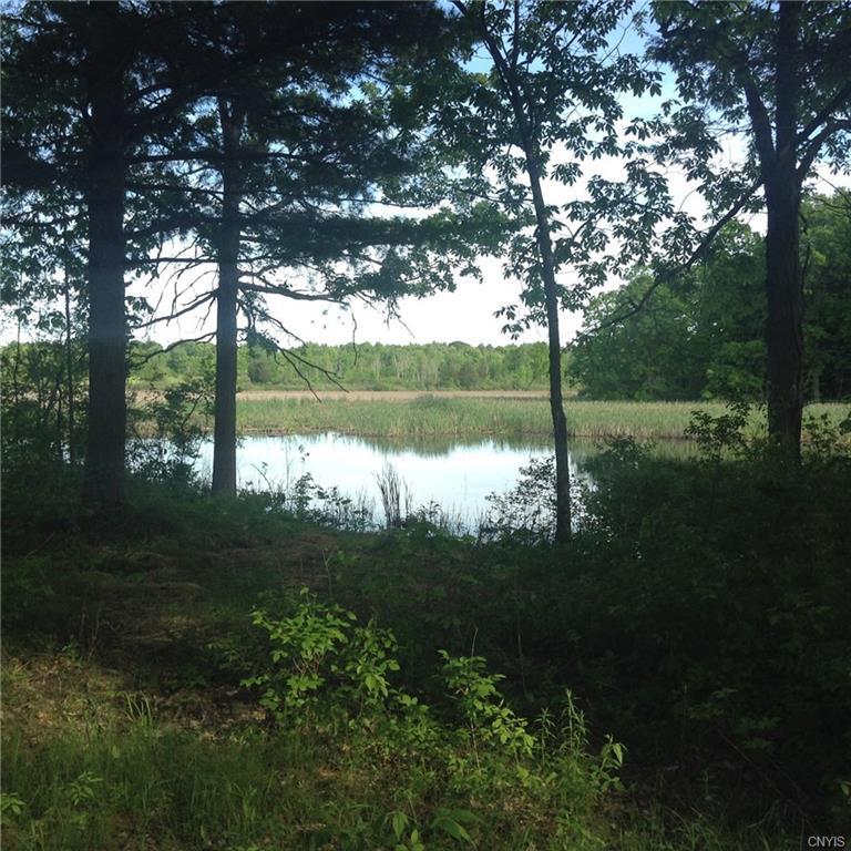 45649 Deer Point Road - Photo 1