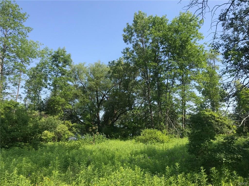 0 River Rd - Photo 1