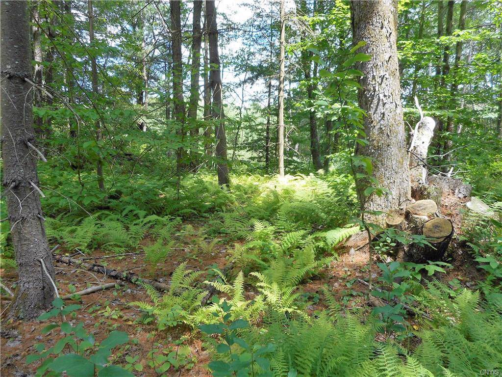 00 Creek Road - Photo 1