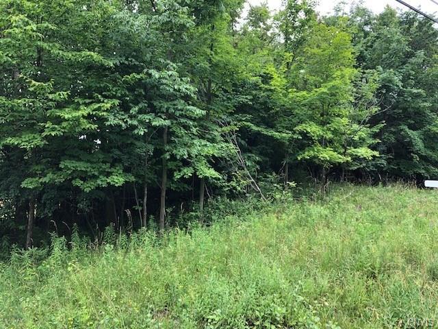 LOT 27 Morin Lane North - Photo 1