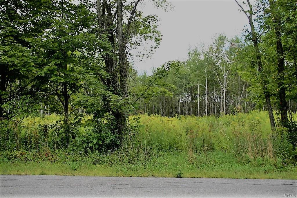 NYS Lot 11 Rt 285 - Photo 1