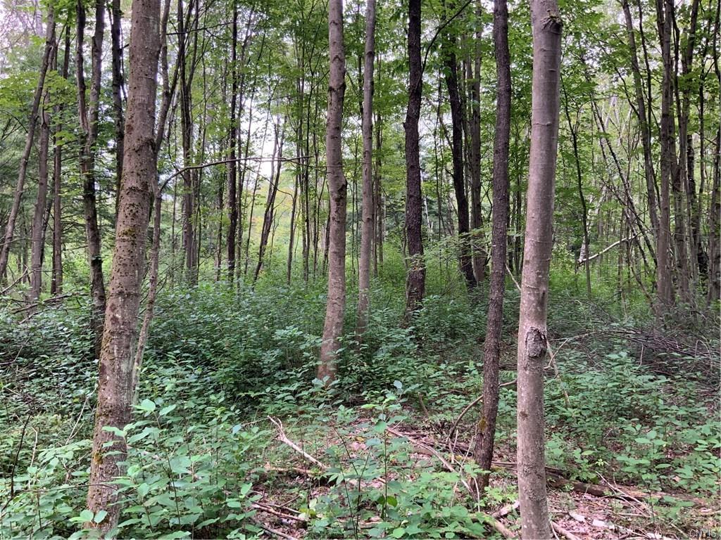 0 Towne Road - Photo 1