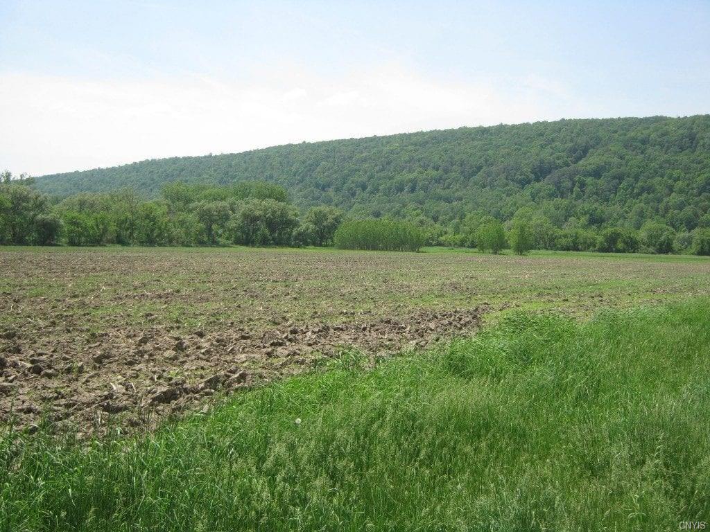 00 State Route 38 - Photo 1