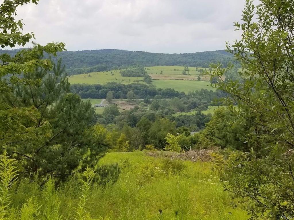 00 Phillips Road - Photo 1