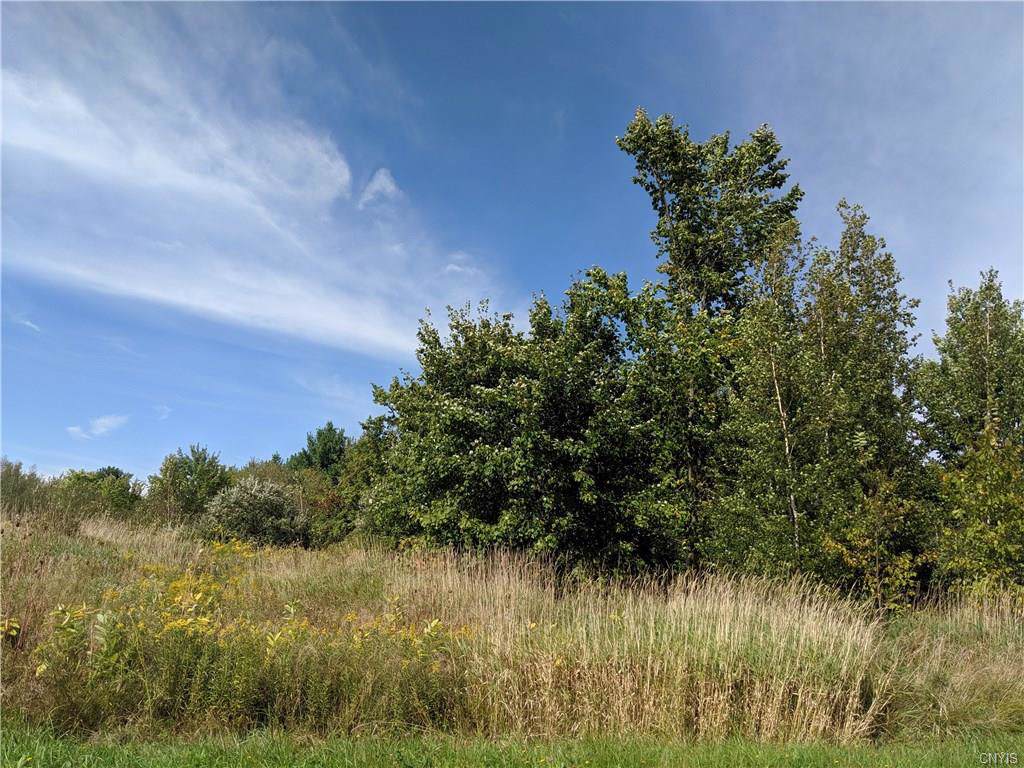 39053 Creek Road - Photo 1 39053 Creek Road - Photo 1